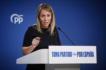 Imagen FPMSAXIFERA2RCP6V363TDCWTU