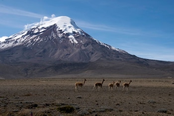 El volcán Chimborazo en Ecuador.