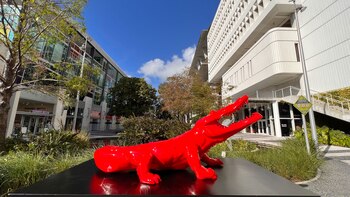 "Crocodile", de la serie "Born