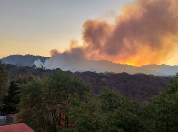 En Twitter, los usuarios se