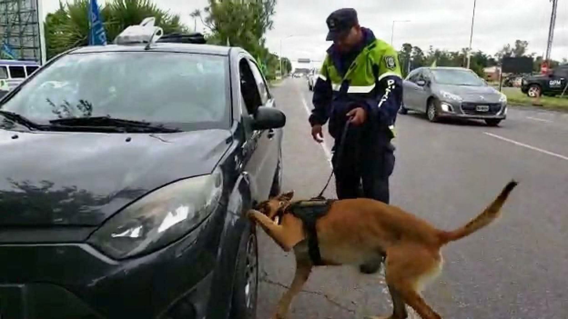 La temporada de verano suma dispositivos de seguridad, ambulancias y personal sanitario para asistir a los turistas y fortalecer la prevención de siniestros viales