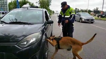 La temporada de verano suma
