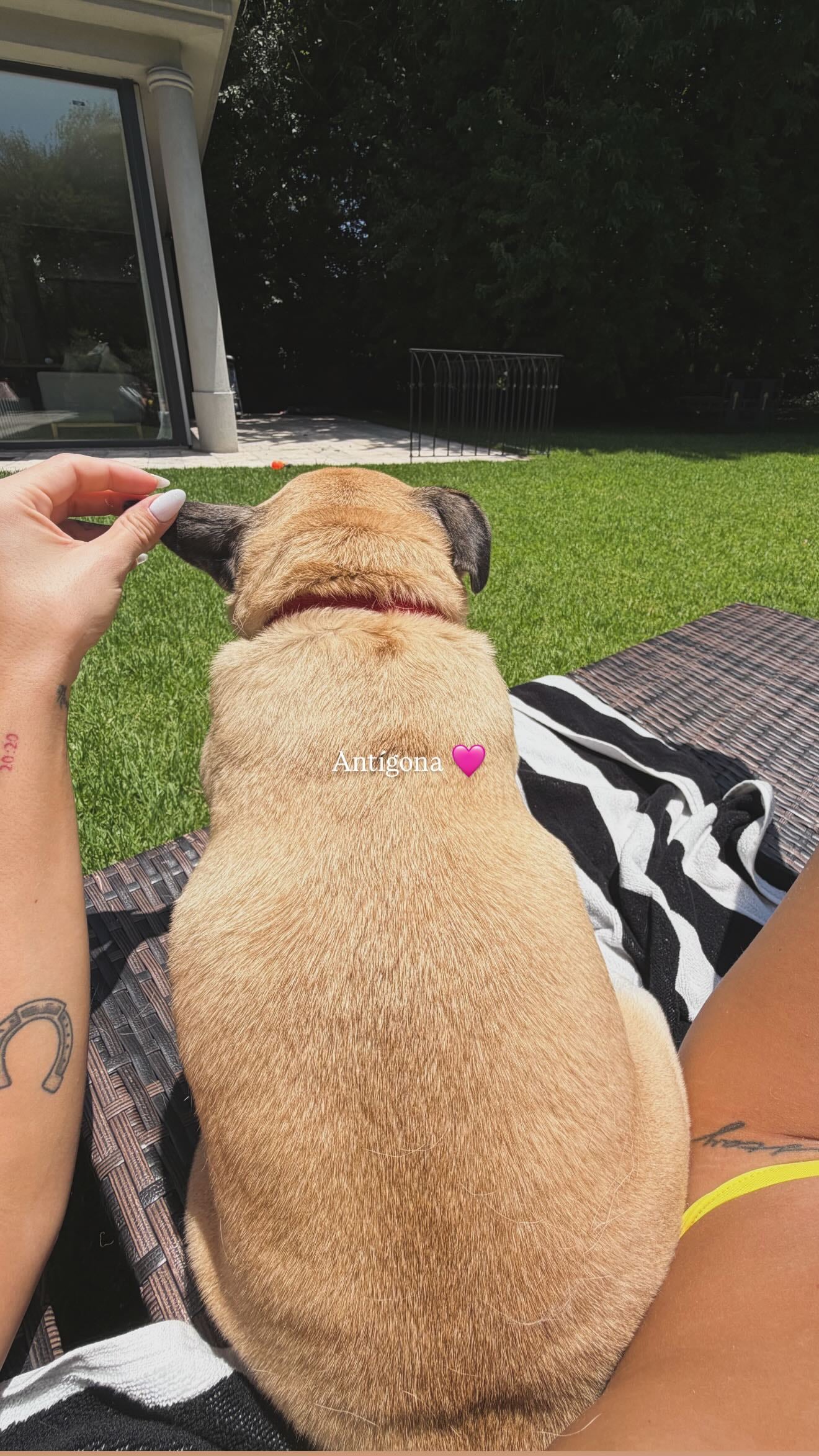 El reencuentro con Antígona