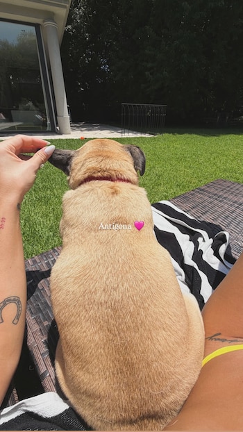 El reencuentro con Antígona