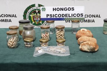 La banda pulverizaba los hongos