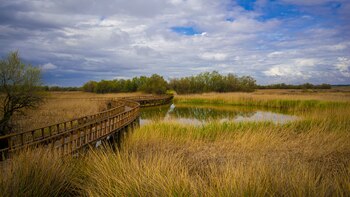 La sencilla ruta por pasarelas