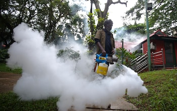 Participe en programas de fumigación