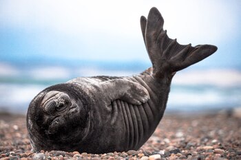 Gracias a la fácil accesibilidad