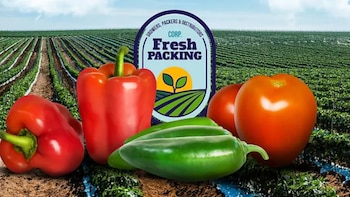 UIF congela empresa ligada al sobrino de ‘El Mayo’ Zambada por presuntos vínculos con negocio de frutas y verduras