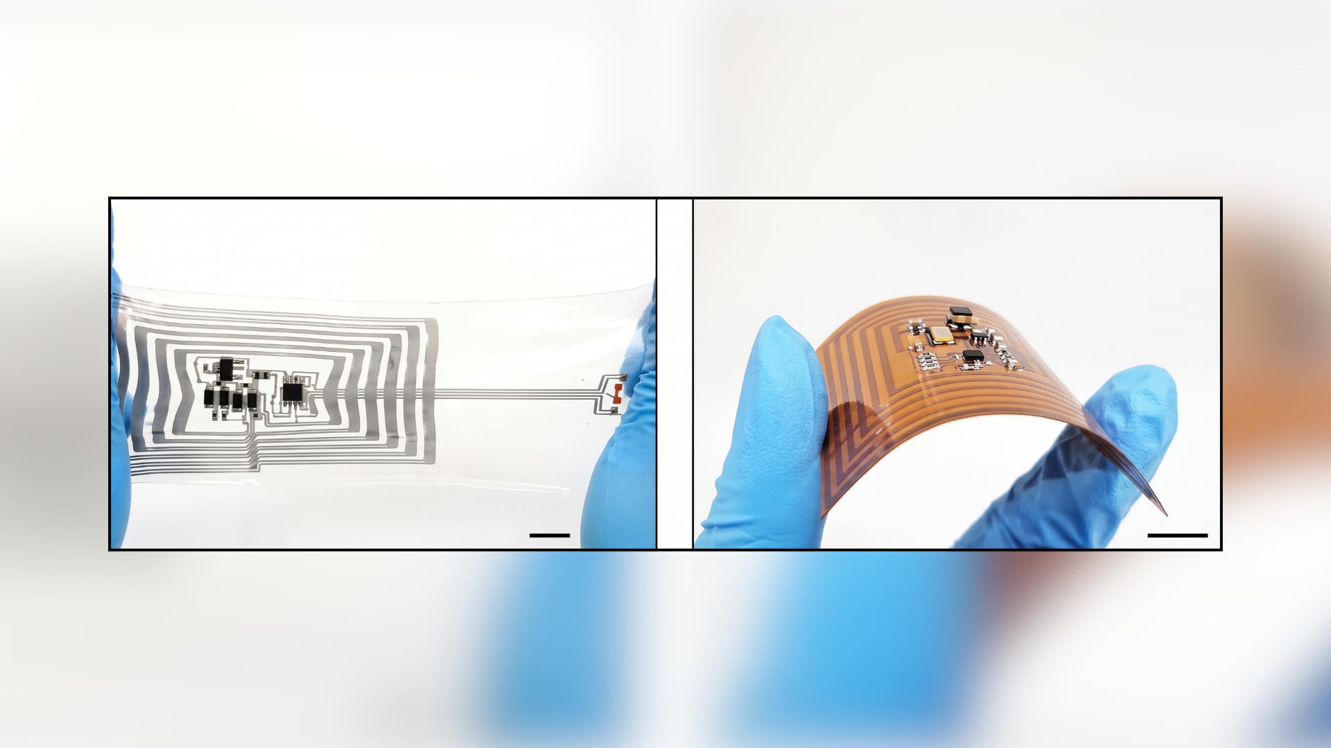 Un receptor implantable y un transmisor externo forman el sistema inalámbrico para alimentación de dispositivos médicos blandos (Gentileza, estudio A wearable-to-implant wireless power transfer technology with variation tolerance, publicado en Nature Electronics)