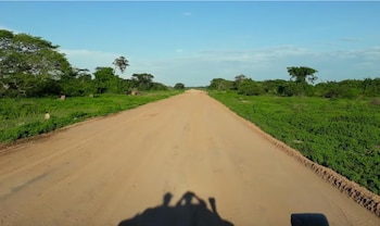 Camino de tierra ancho y recto flanqueado por vegetación verde bajo un cielo despejado, con la sombra de dos personas en primer plano