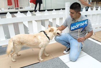 El centro 'Huixquican' ha realizado