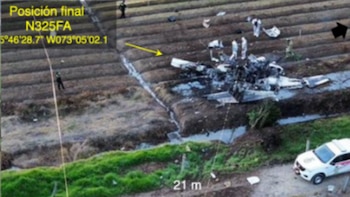 Experto en aviación analizó el