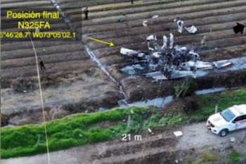 El experto afirmó que es