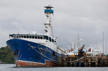 FDurante el período de veda,