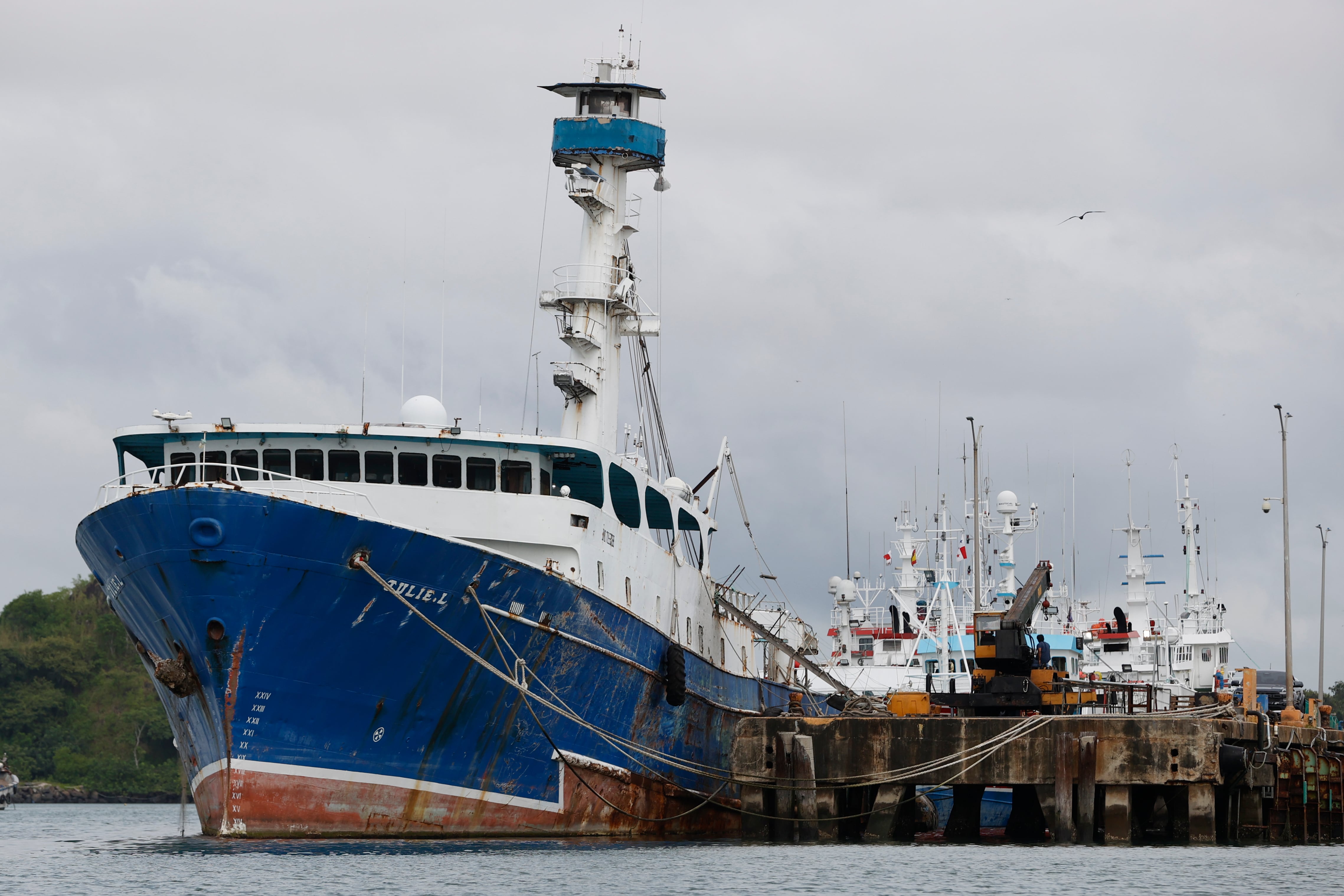 El segmento de casco, asociado a embarcaciones y naves marítimas, reportó uno de los mayores crecimientos porcentuales en primas. EFE