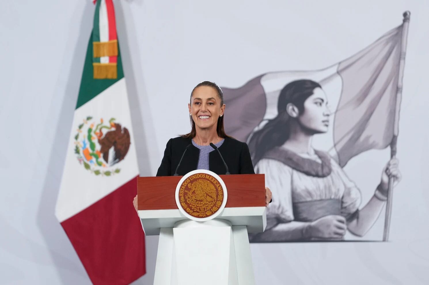 La mandataria confirmó que hay 2 personas detenidas por el caso. (Presidencia)