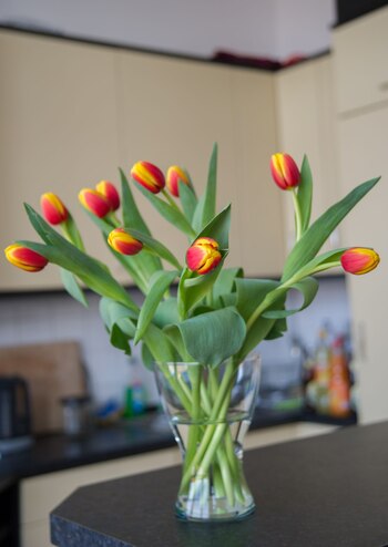 ARCHIVO - Los tallos de