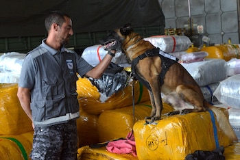 En el procedimiento de donación
