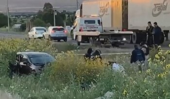 (Captura de pantalla: Milenio TV)