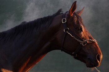 El suero equino hiperinmune demostró