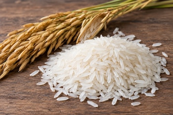 El maíz subió a USD 231.60 por tonelada métrica, la soya a USD 440.53 y el arroz a USD 573, mientras el aceite de maíz se mantuvo estable. /(Imagen Ilustrativa Infobae)