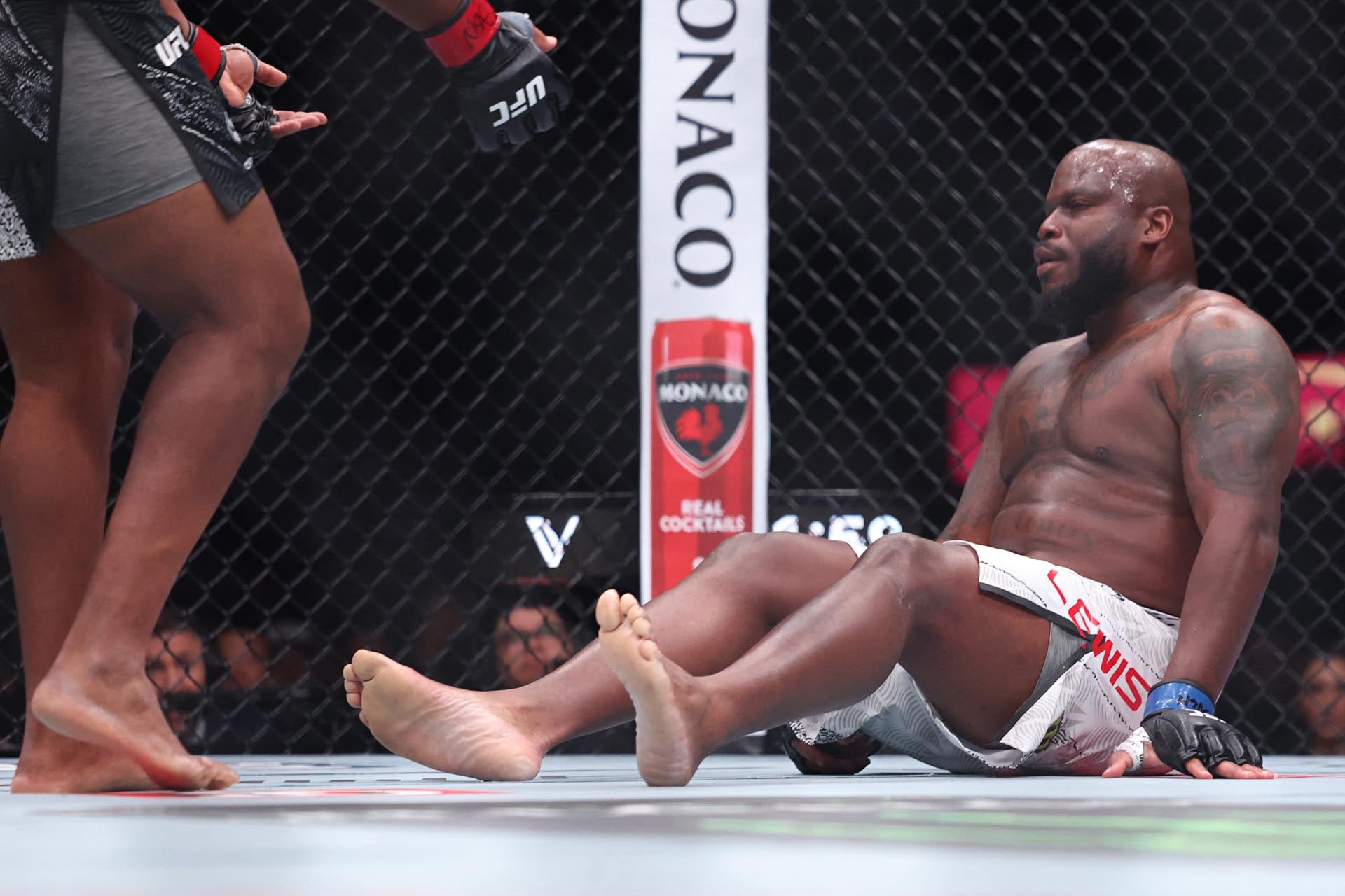 El dominicano le pidió que se levantara para seguir la pelea de pie (AFP)