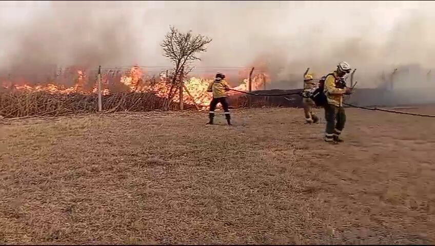 Incendio forestal en Córdoba: se prendieron fuego los predios militares cercanos a la avenida Circunvalación