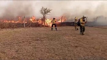 Incendio forestal en Córdoba: se prendieron fuego los predios militares cercanos a la avenida Circunvalación