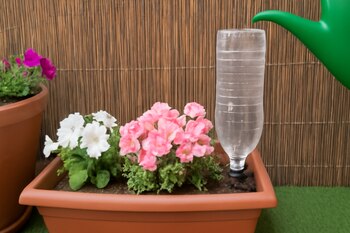 Un simple sistema con botella