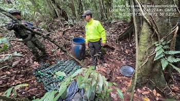 El operativo permitió desmantelar un