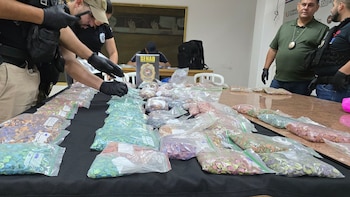 Dominicano es detenido con el