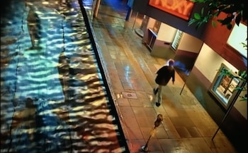 “los delfines simbolizan un estado