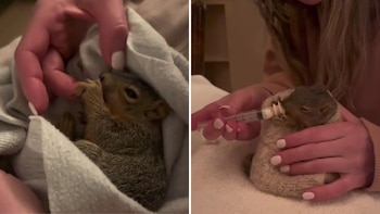 Algunas fotos de las atenciones