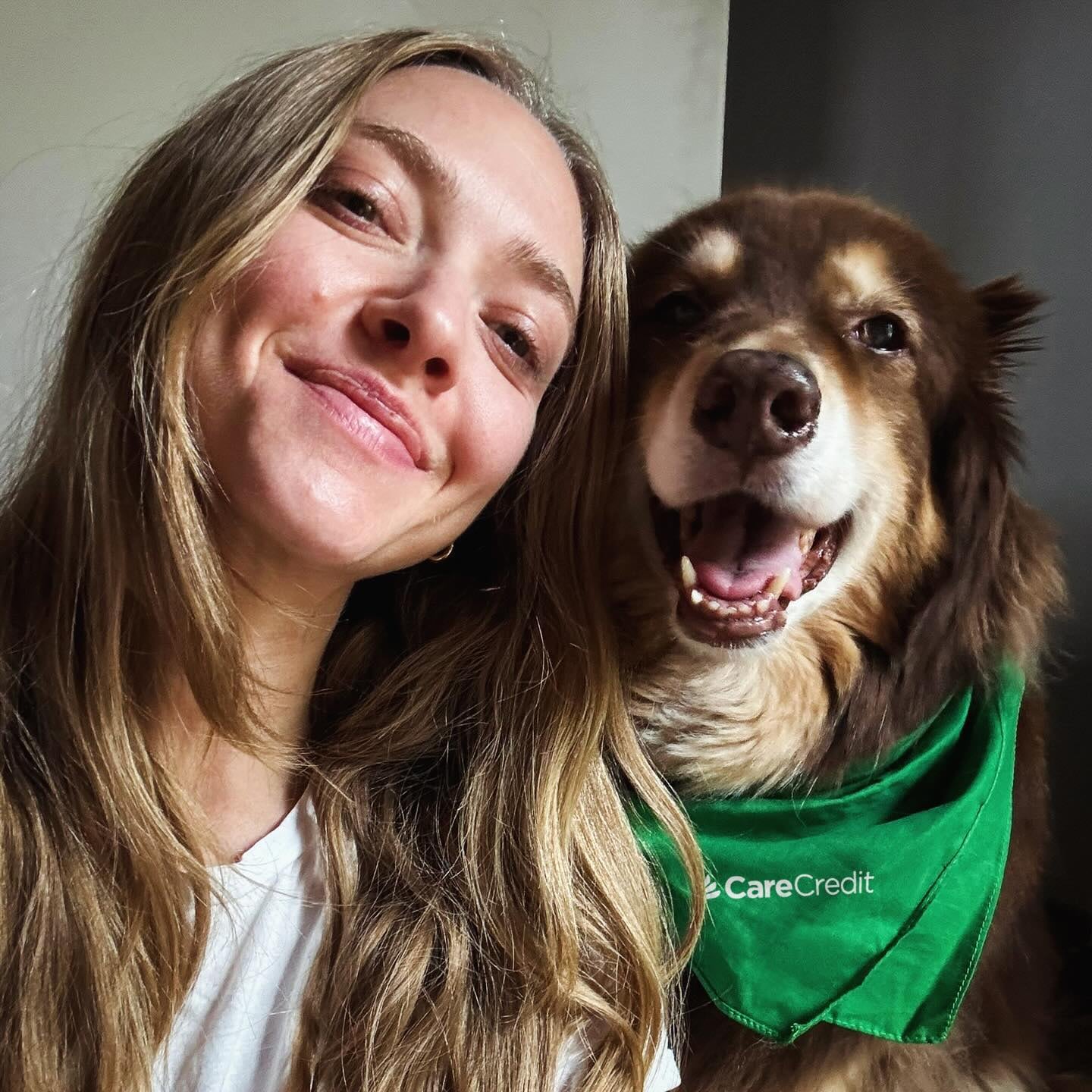 Seyfried estableció su residencia en el campo antes de formar una familia para resguardar su salud mental frente a la dinámica de Hollywood - (Instagram/mingey)