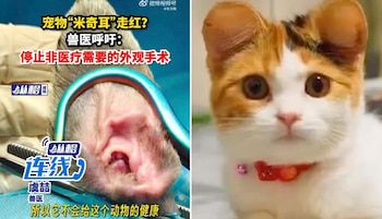 La intervención para redondear las