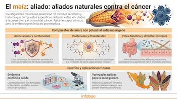 Infografía con un maíz, estructuras moleculares, células, intestino, material de laboratorio, mapa de México y manos con mazorcas de colores variados.