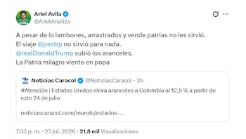 El senador Ariel Ávila cuestionó los resultados de la gira del vicepresidente electo luego del anuncio de nuevos aranceles por parte de Estados Unidos - crédito @ArielAnaliza/X