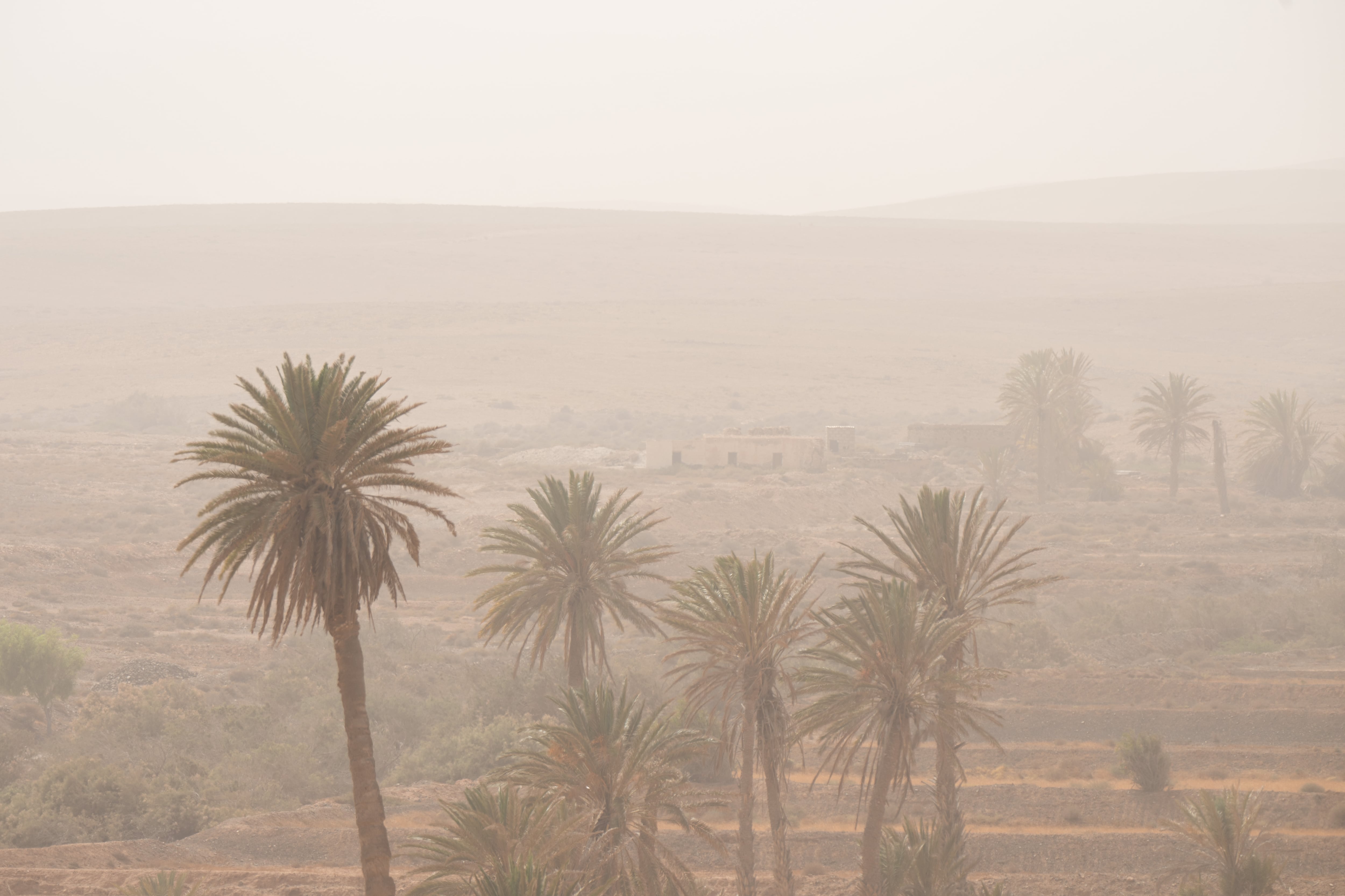 Los efectos de la calima en el municipio de Tuineje, en Fuerteventura. (Carlos de Saá/EFE)