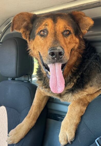 El perro Tiki acompañó a S.A. durante toda su ausencia, ambos recibieron atención especializada al ser hallados