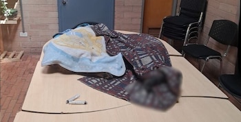 Dos perros murieron y cuatro