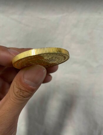 Fue este año que comenzaron