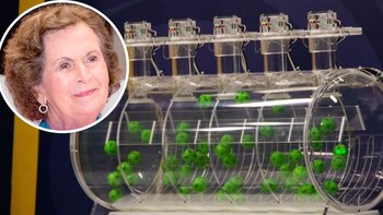 María Alicia Villarreal Dávila, conocida