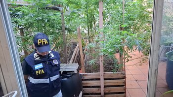 El patio interno de la