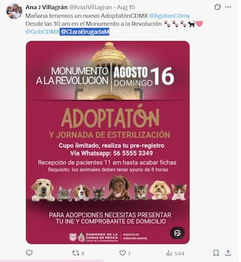 Cartel sobre adoptatón y jornada de esterilización de mascotas con el Monumento a la Revolución, texto informativo, y una hilera de perros y gatos