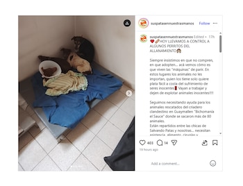 El posteo de Sus patas