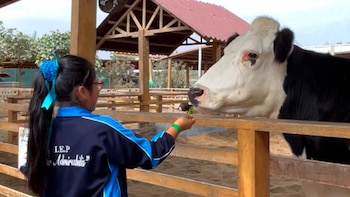 - crédito Facebook / Granja