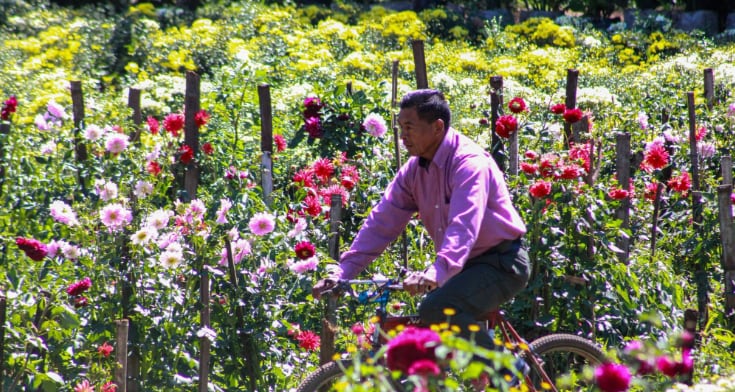 La familia García Ruiz comercializa su producción floral en el mercado Ernesto Fernández de Masaya y en su propia finca de Catarina. (Foto: Catarina Siempre más allá)