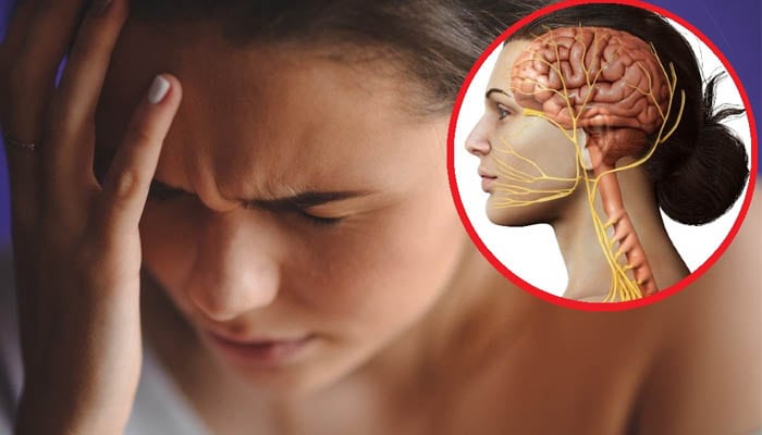 El sistema glinfático, encargado de limpiar desechos cerebrales durante el sueño, podría desempeñar un papel clave en el desarrollo de la migraña. (Imagen Ilustrativa Infobae)