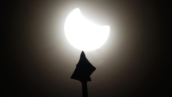 El 2026 será el año